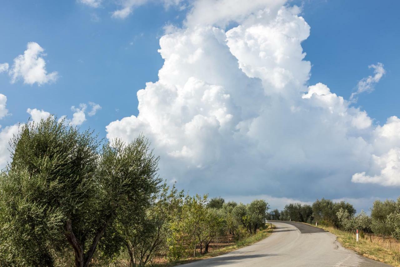 Little Val D'Orcia Apartment Montenero d'Orcia Exterior photo